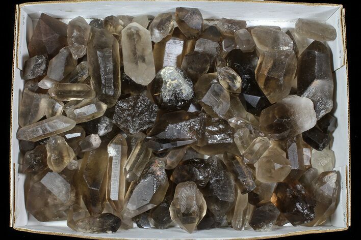 Lot: Lbs Smoky Quartz Crystals (-) - Brazil #77830